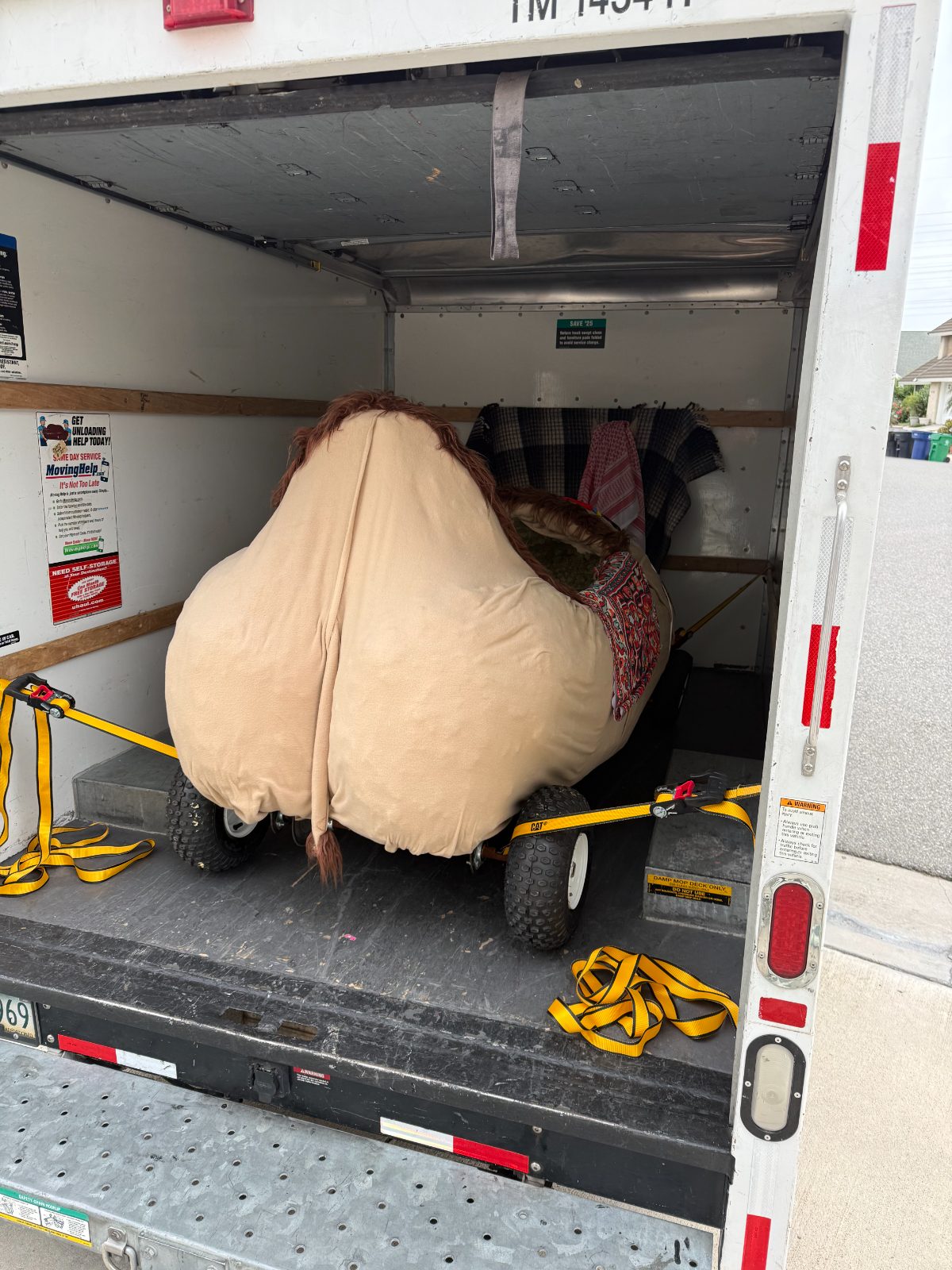 loading the camel into the U-Haul